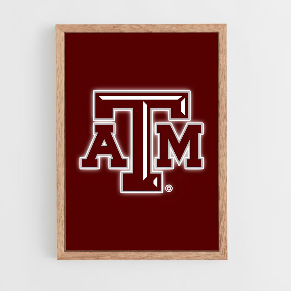 Poster Aggieland Dreams – affiche Baseball (vue 4)
